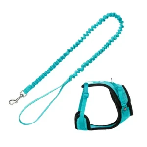 Mesh Y-Harness with Elastic Leash